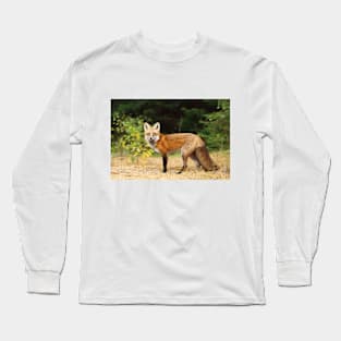 Young Red Fox - Algonquin Park Long Sleeve T-Shirt